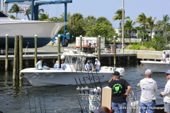 587-_LDB9927