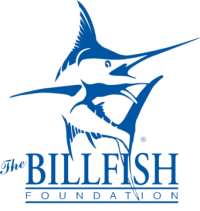 TBF-Logo-Reflex-spot-copy